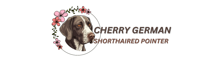 Cherry German Shorthaired Pointer